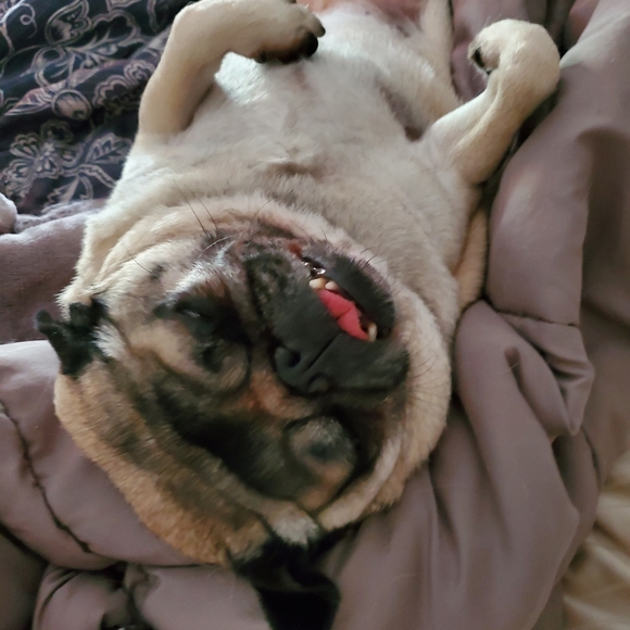 Meet your Posher, Rebecca - Picture 1 of 7